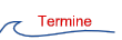 Termine